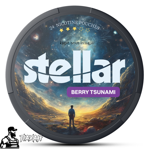 Снюс Stellar Berry Tsunami 97095 Фото Інтернет магазина Кальянів - Пахан