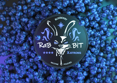 Снюс Rabbit Blueberry 150 мг 5654765 Фото Інтернет магазину Кальянів - Пахан